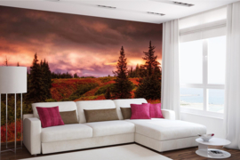 Dimex/Wall Murals 2023 Fotobehang MS-5-1736 Alaska Sunset/Zonsondergang