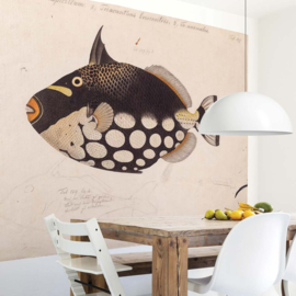 DWD Natural History/Keiga Kawahara Fotobehang NH250007 Luipaardtrekkervis/Maatwerk