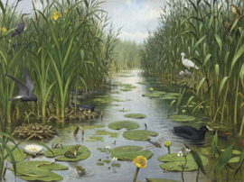 DWD Natural History/M.A Koekkoek Fotobehang NH250066 Naardermeer/Maatwerk