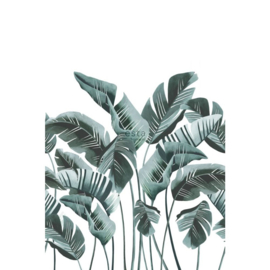 Esta Home Scandi Cool Fotobehang Large Banana Leaves Teal 158898 Bananenbladeren