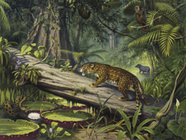 DWD Natural History/M.A Koekkoek Fotobehang NH250065 Braziliaansche oerwoud/Panter/Maatwerk