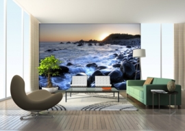 Dutch wallcoverings Fotobehang. FTS 1311 Natuurlijk