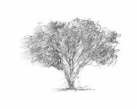 AS Creation APDigital2 Fotobehang  470535 Tree Sketch/Boom