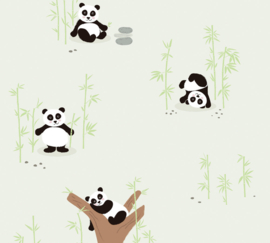 AS Creation Little Love Behang 38142-1/ 381421  Panda/Dieren