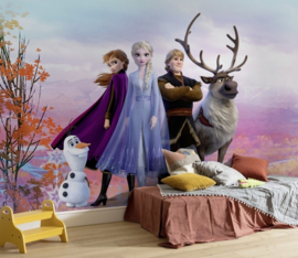 Komar Disney Edition4 Fotobehang Frozen Iconic 8-4103 Anna/Elsa