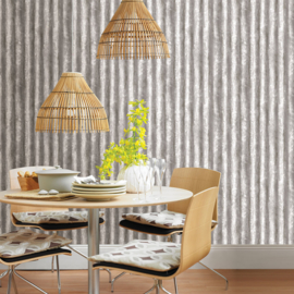 Dutch Wallcoverings Trilogy Behang FD22336 Metaal/Staal