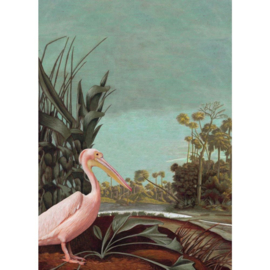 Esta Home Paradise Fotobehang 158948 Pelican Bird/Vogel