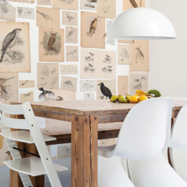 Natural History/Joseph Wolf Fotobehang NH250033 Vogels/Maatwerk