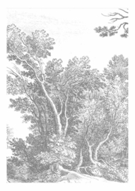KEK Amsterdam II Fotobehang WP-316 Engraved Landscape