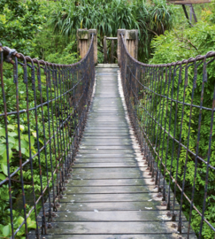 Dimex Fotobehang Footbridge MS-3-0084 Loopbrug/Natuur