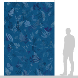DWD Natural History/Anna Atkins Fotobehang NH250037 Bladeren|Maatwerk
