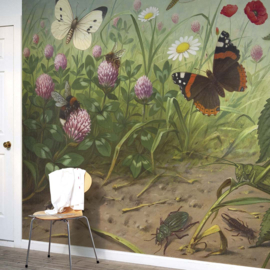 DWD Natural History/M.A Koekkoek Fotobehang NH250067 Insecten/Maatwerk