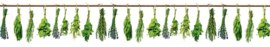 Dimex Wall Murals 2023 Zelfklevende Keuken Achterwand Herbs KL-350-007 Kruiden