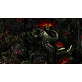 Muance Edition 3 Amber Collection Fotobehang Mumba Kanda MU13025 Olifant