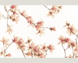 Fotobehang 036261 ASCreation Pink Blossom