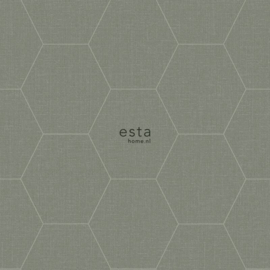 Esta Home Blush Behang 149-148751 Modern/Hexagon