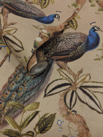 Dutch First Class Arboretum Behang 91740 Cassia Taupe/Vogels (Gratis Universele Lijm en Verzending binnen Nederland)