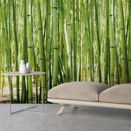 Dutch Wallcoverings One Roll One Motif Behang A36901 Bamboo/Bomen