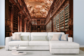 Dimex/Wall Murals 2023 Fotobehang MS-5-0965 Empty Library Background/Bibliotheek