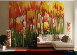 Dutch wallcoverings Fotobehang. FTS 0045 Bloemen/Tulpen