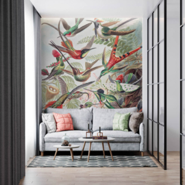 Hohenberger Digital Murals Fotobehang 26993 Birds Paradise/Vogels
