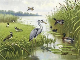 DWD Natural History/M.A Koekkoek Fotobehang NH250074 Water en weidevogels/Maatwerk