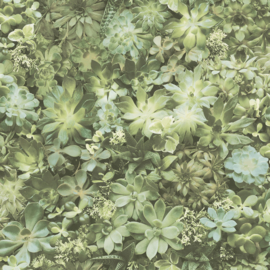 Noordwand Evergreen Behang 7320 Vetplanten/Planten
