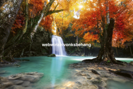 Dimex Fotobehang Deep Forest Waterfall MS-5-0083 Waterval