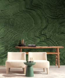 Emil & Hugo Contempo Fotobehang 303642 Big Malachite Moss Green/Steen