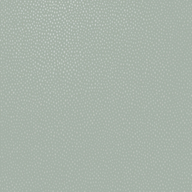 Dutch wallcoverings Patagonia Behang 36145 Pinto Duck Egg/Dots/Natuurlijk