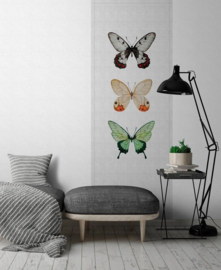 AS Creation Walls By Patel 2 Fotobehang DD114042 Buzz Panels 2/Vlinder/Dieren