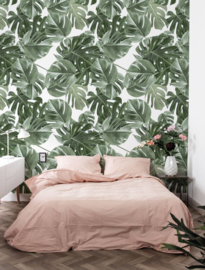 Kek Amsterdam Monstera White 2D Fotobehang WP-584 Bladeren