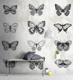 Walls by Patel Fotobehang DD110361 Sketchpad 3 Vlinders