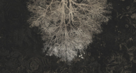 Muance Edition 2 Cobalt Collection Fotobehang MU12031 Expansion Theory/Boom