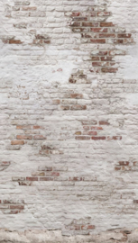 Dutch Wallcoverings One Roll One Motif Fotobehang EP6101 Brick/Stenen