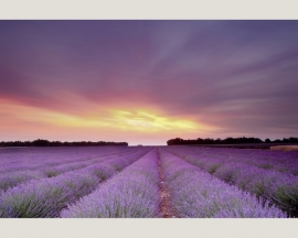 Fotobehang 036511 ASCreation Natuur