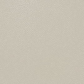 Dutch wallcoverings Patagonia Behang 36142 Pinto Beige/Dots/Natuurlijk