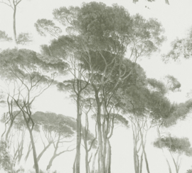 AS Creation History of Art Behang 37651-2 Bomen/Natuurlijk