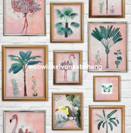 Noordwand Kids@Home Individual Behang 106946 Tropical Frame