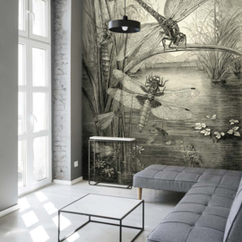 DWD Natural History Fotobehang NH250022 Libellen/Maatwerk