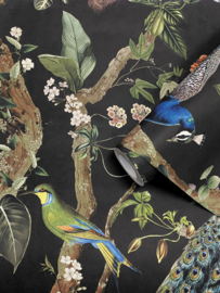 Dutch First Class Arboretum Behang 91741 Cassia Charcoal/Vogels (Gratis Universele Lijm en Verzending binnen Nederland)