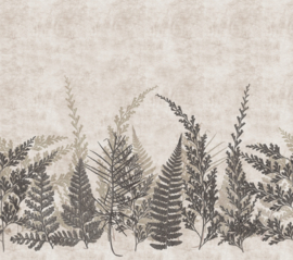 Noordwand Herbarium Fotobehang HED27292 Botanisch/Bladeren/Varens