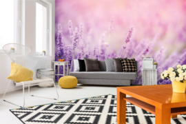 Dimex/Wall Murals 2023 Fotobehang MS-5-1311 Lavender/Bloemen/Lavendel