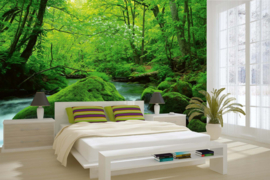 Dimex/Wall Murals 2023 Fotobehang MS-5-1587 Stream In Japan/Natuurlijk