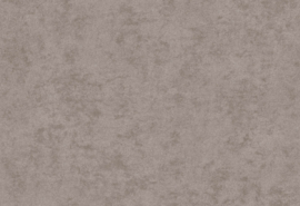 Hookedonwalls Affinity Behang AF24506 Plain/Beton