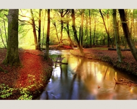 Fotobehang 036581 / Forest stream ASCreation