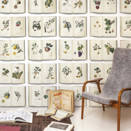 DWD Natural History Fotobehang NH250034 Italiaans Fruit/Maatwerk