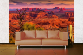 Dimex/Wall Murals 2023 Fotobehang MS-5-1646 Monument Valley/Landschap