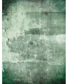 Eijffinger Resource  Fotobehang 369151 Green Weathered Wall/Modern/Industrieel