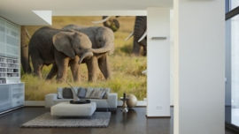 AS Creation APDigital2 Fotobehang  470501 Kenya Little Elephants/Olifant